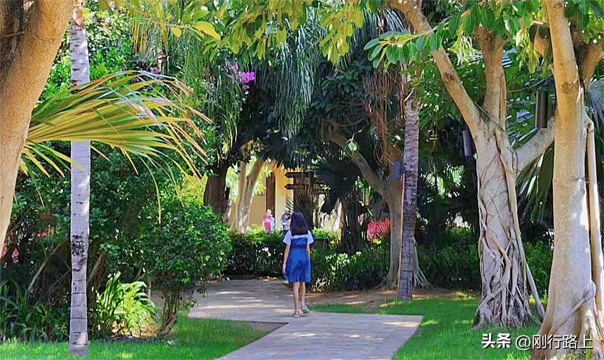 三亚亚龙湾喜来登度假酒店优惠,三亚亚龙湾喜来登度假酒店测评