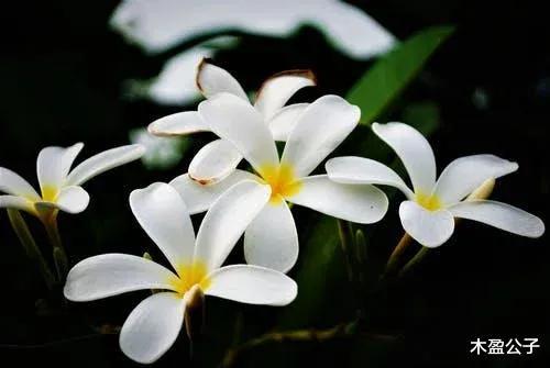 在你困难时遇到朋友借钱该怎么办,别人在你困难时借钱给你还不该要