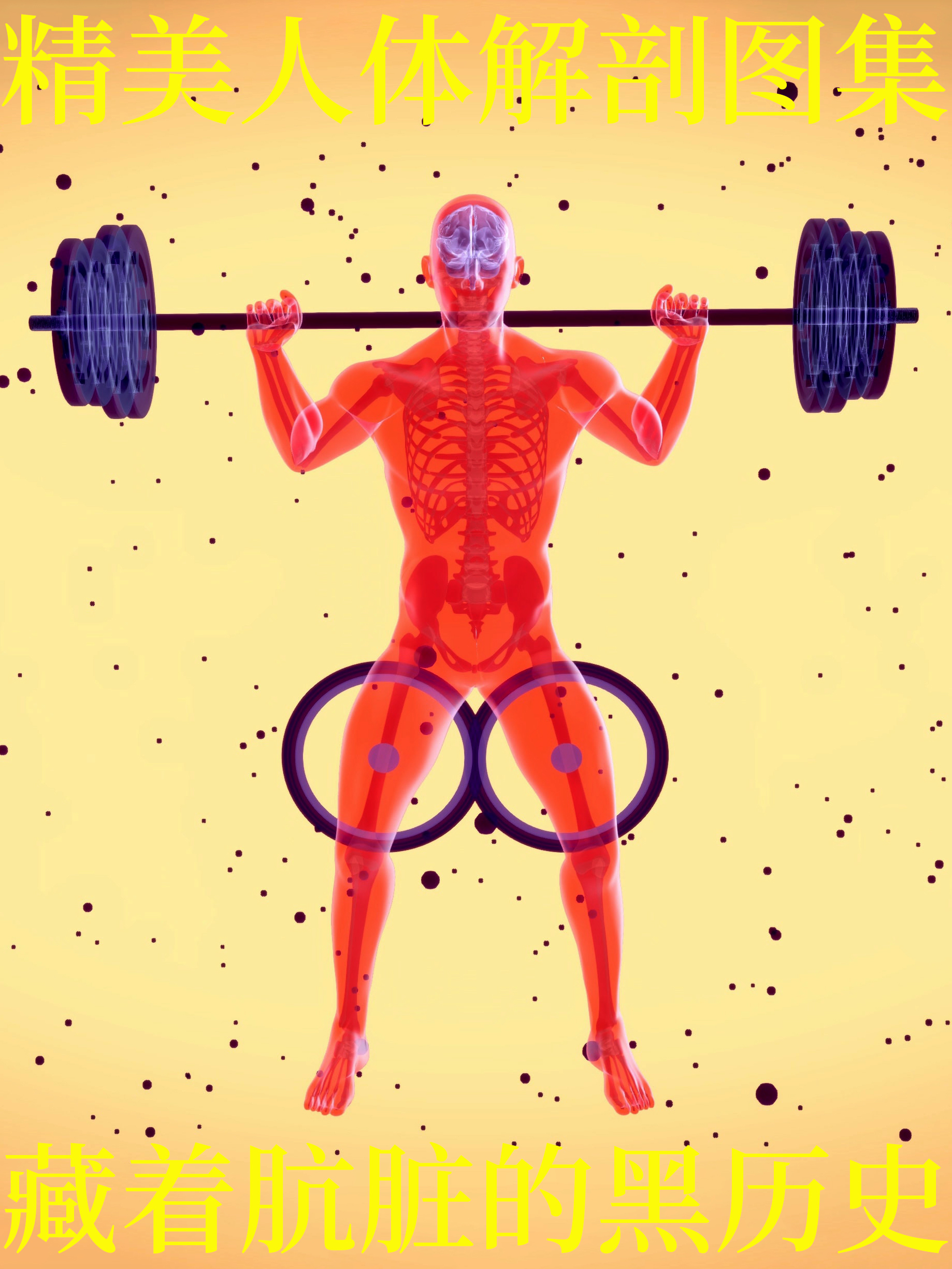 最全人体解剖图建议收藏,人体解剖图内脏器官位置图清晰