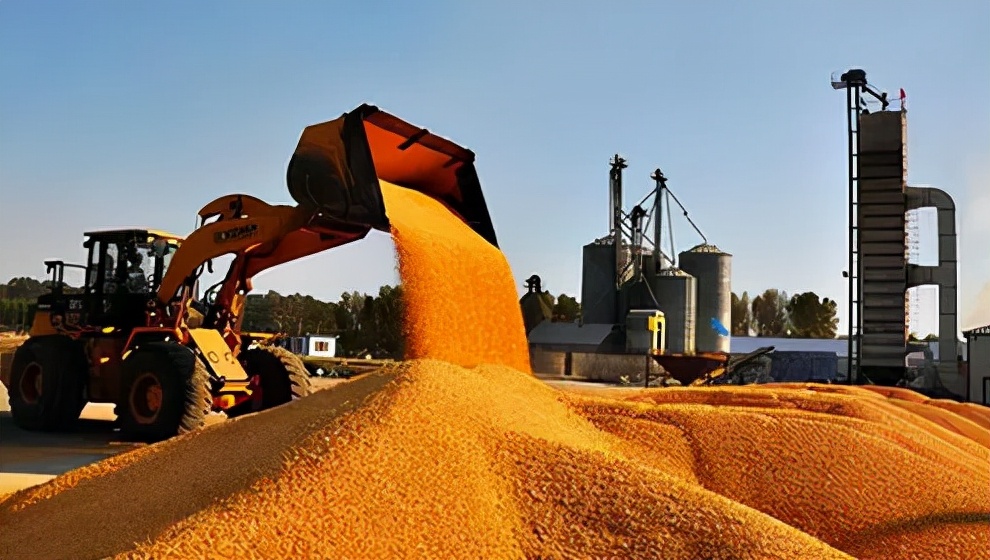 告别打工重回自产自销农村生活,告别家乡去打工挣钱回来过年