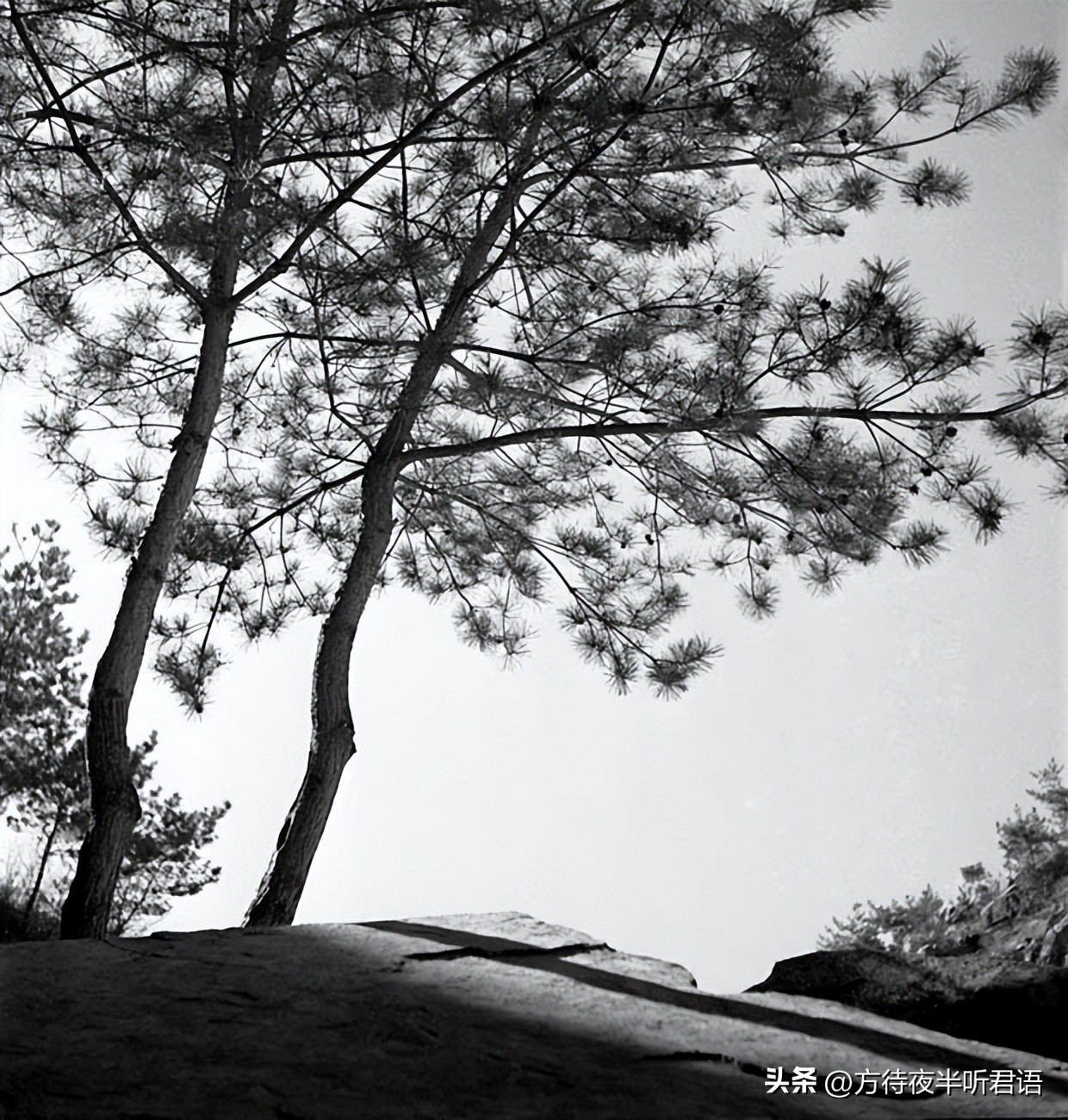 殊异之城：金石声穿过岁月的青岛留影