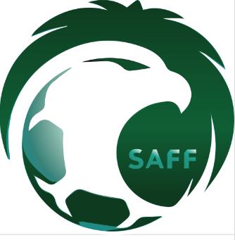 2022年卡塔尔世界杯32强,卡塔尔32强球队巡礼