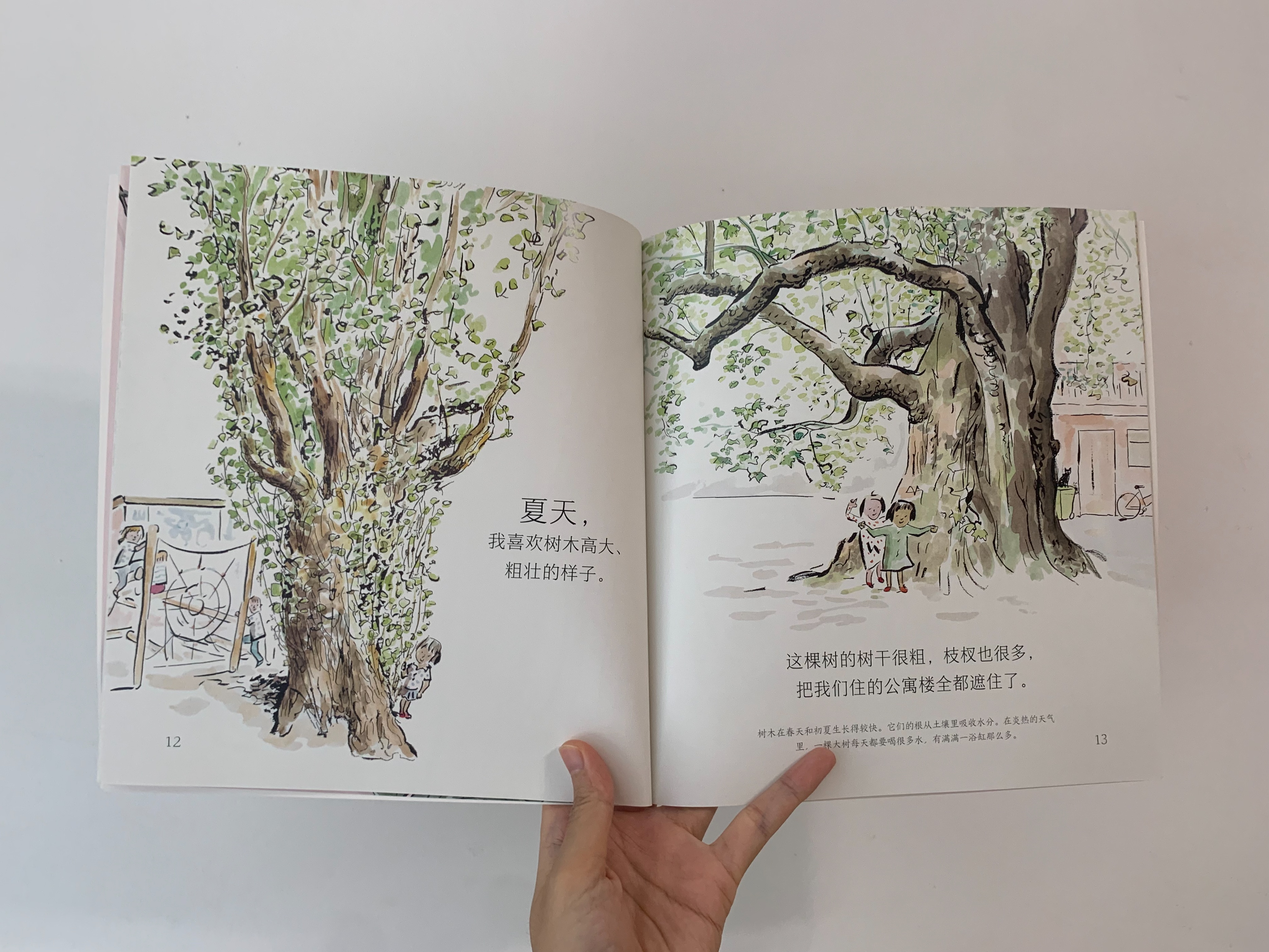 如何启发孩子观察大自然,培养孩子自然观察