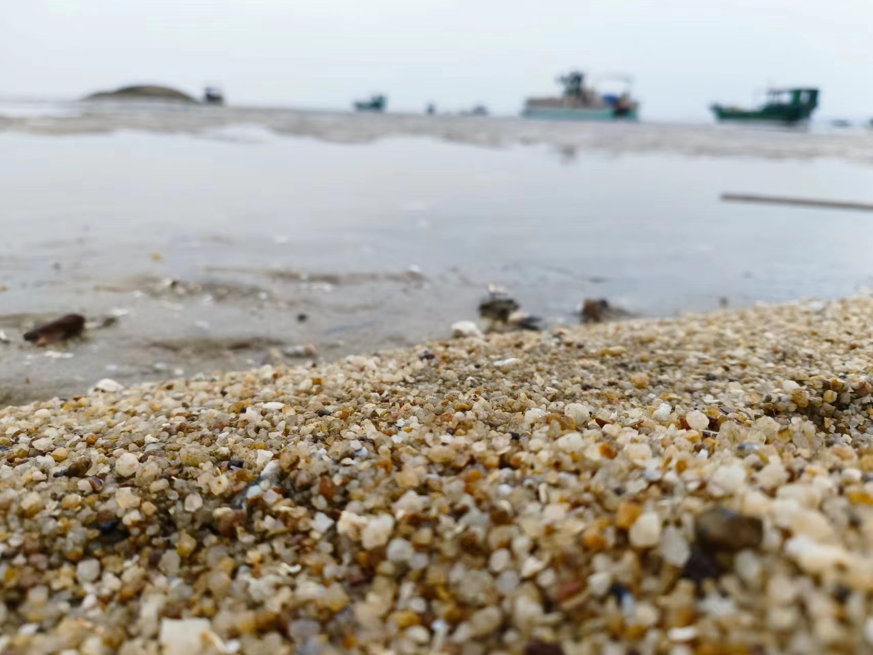 缤果预售价和实际价格,缤果有木有降价