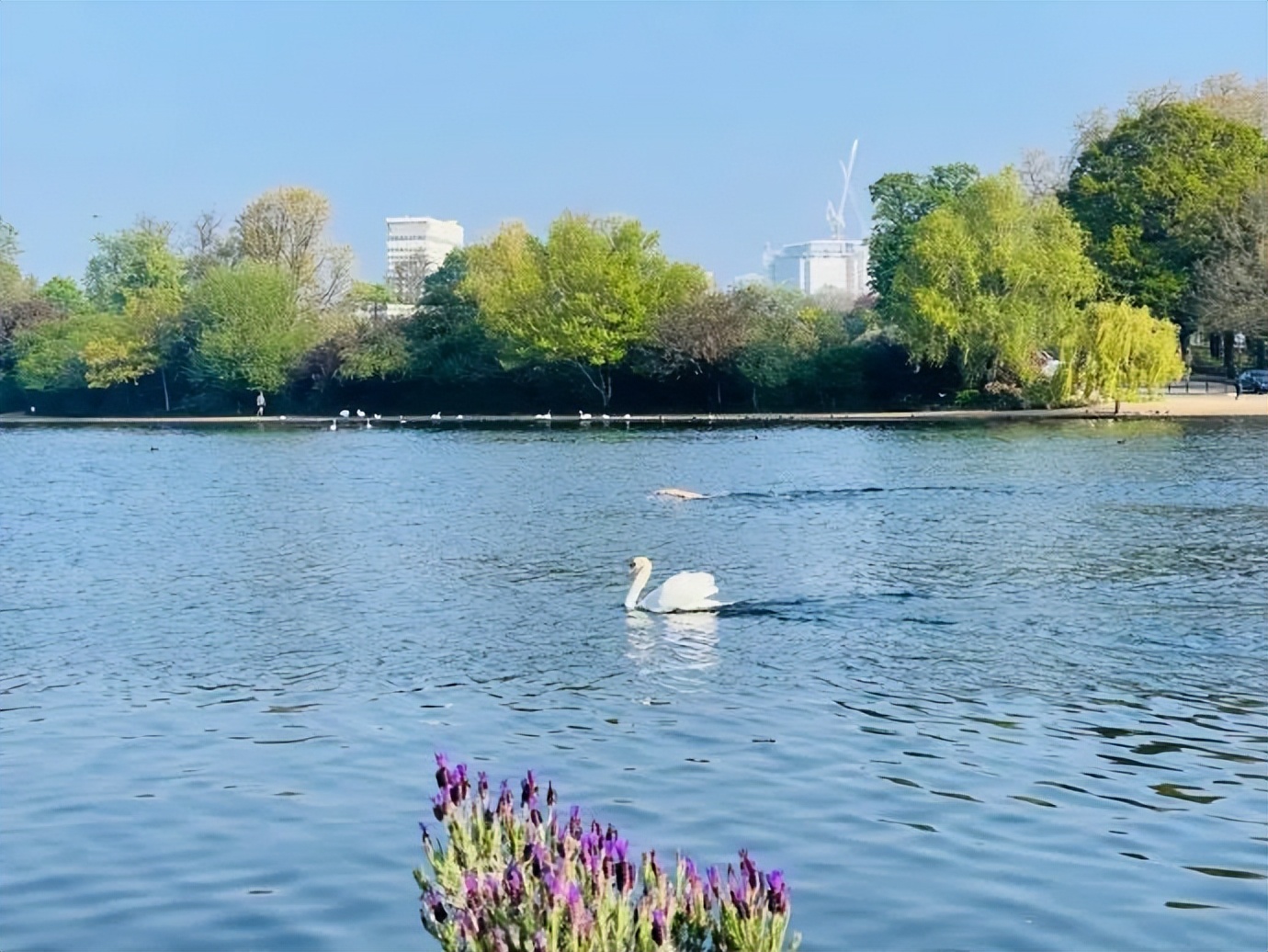 最美的十座园林,中国十大最美园林之留园