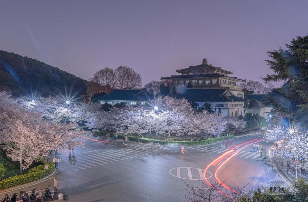 湖北“超美”大学：占地5195亩，宿舍6部电梯，坐拥26栋*物文**建筑和1000株樱花！