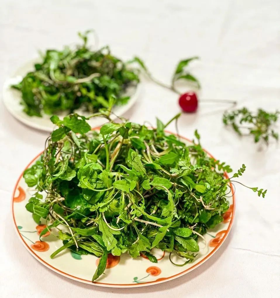 浙江春菜上新品尝春天第一口鲜,春菜正当季快来尝尝春天的味道