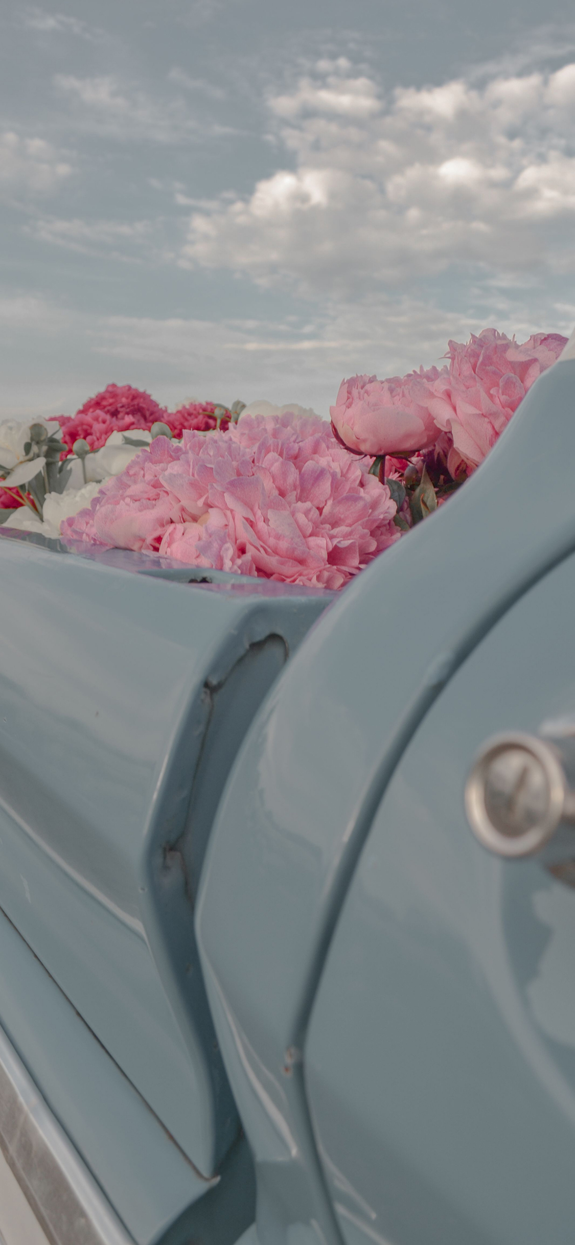 超大尺寸二次元壁纸,李沁超大尺寸全屏壁纸