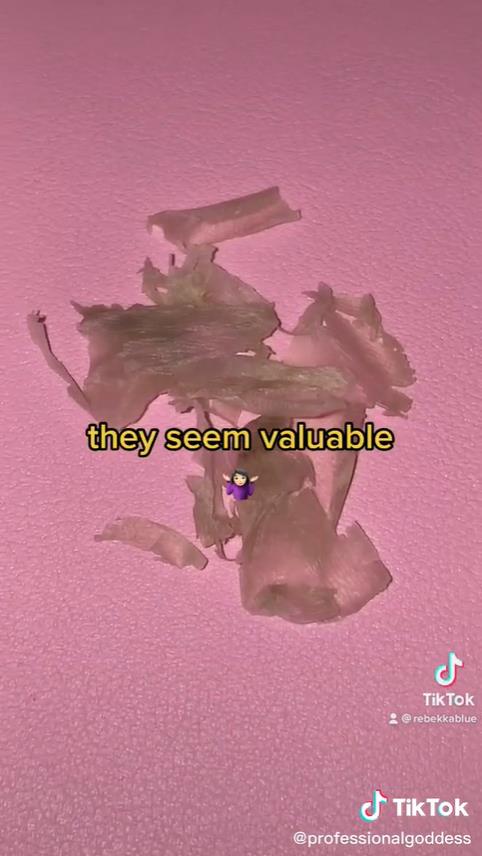 美国女子网售重口垃圾：灰尘脏水，指甲舌苔，真有人高价买？