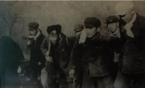 东北林业大学里面好看吗,东北林业大学环境工程好吗