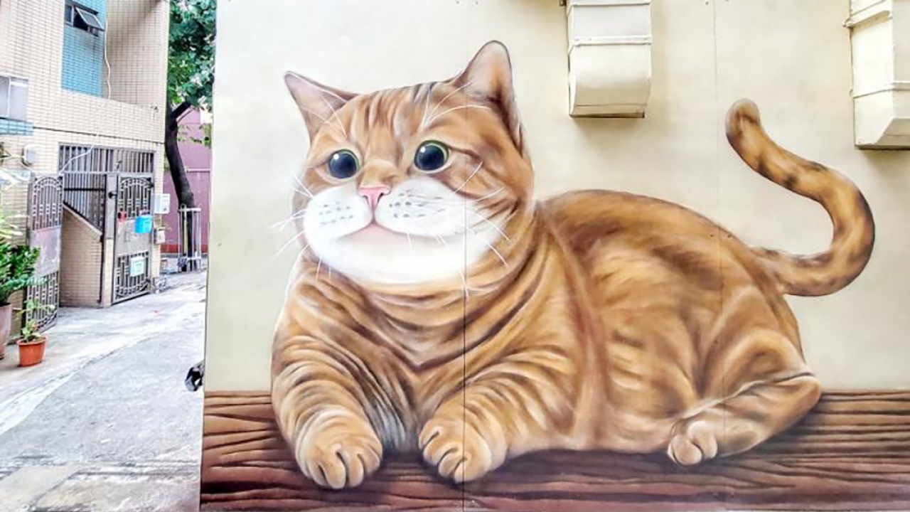 人类大脑内存相当于多少g,人类大脑记忆容量