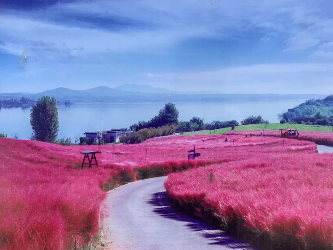 乡村振兴和巩固脱贫攻坚典型案例,人民网2022年乡村振兴示范案例