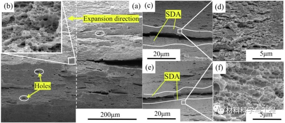 《MaterDes》：层状异质结构设计对中碳钢力学行为的影响