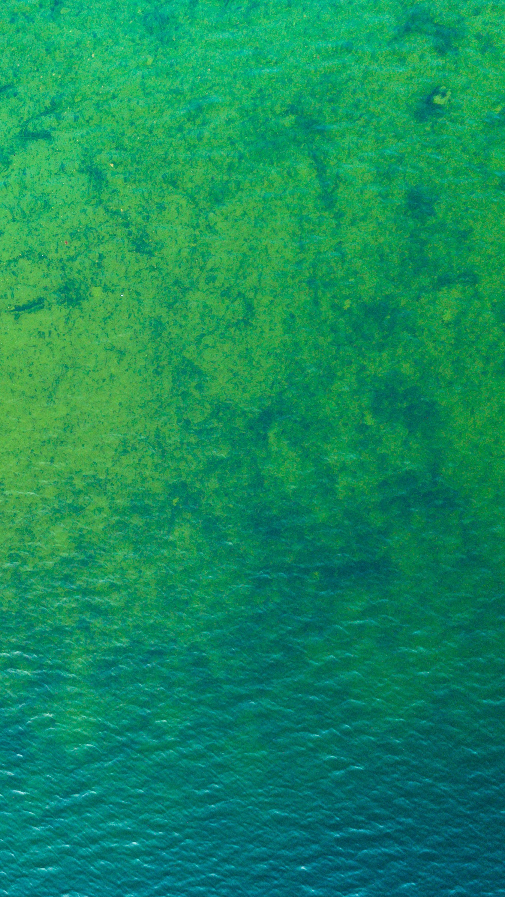 海洋主题壁纸,miui海洋超级壁纸