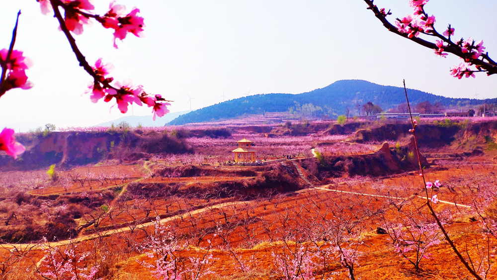 *安泰**第一县争夺战：新泰与肥城，到底谁更有实力问鼎？