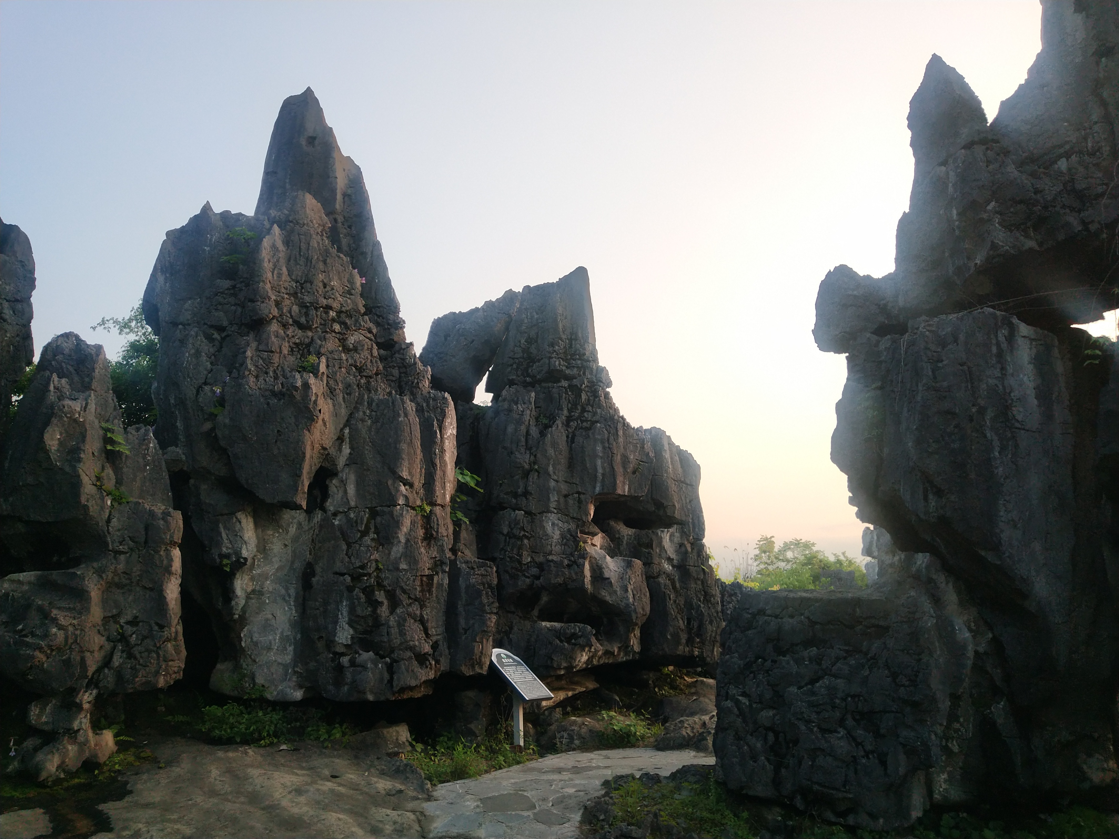 2020灌阳文市石林要门票吗,灌阳文市石林景区门票是多少