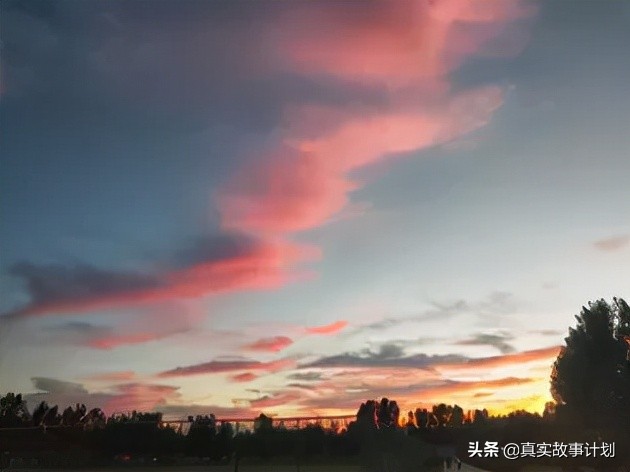 年轻人的手机里有什么？把胡须、证件照和速效救心丸藏在手机背后