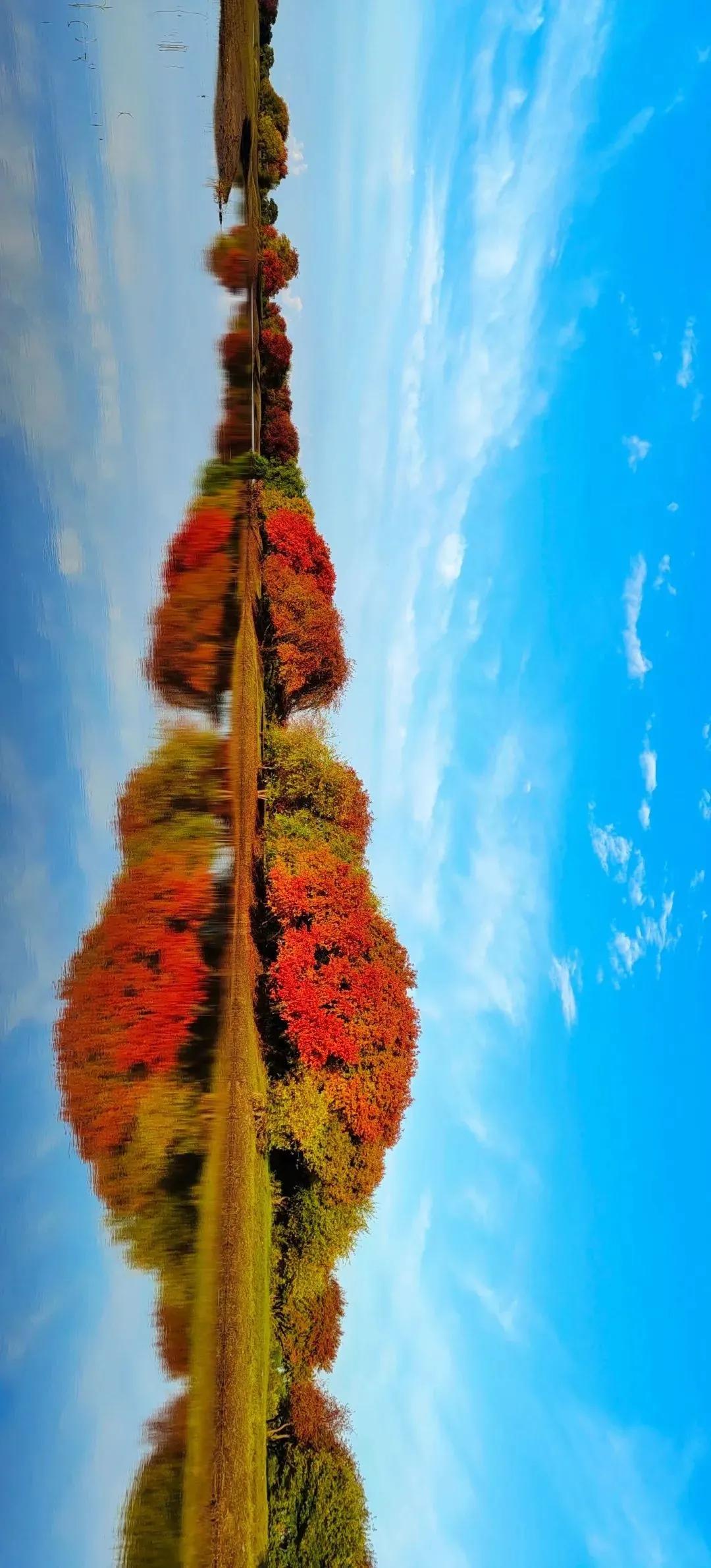 秋天天空最美的风景图片,秋天最美的风景手机壁纸