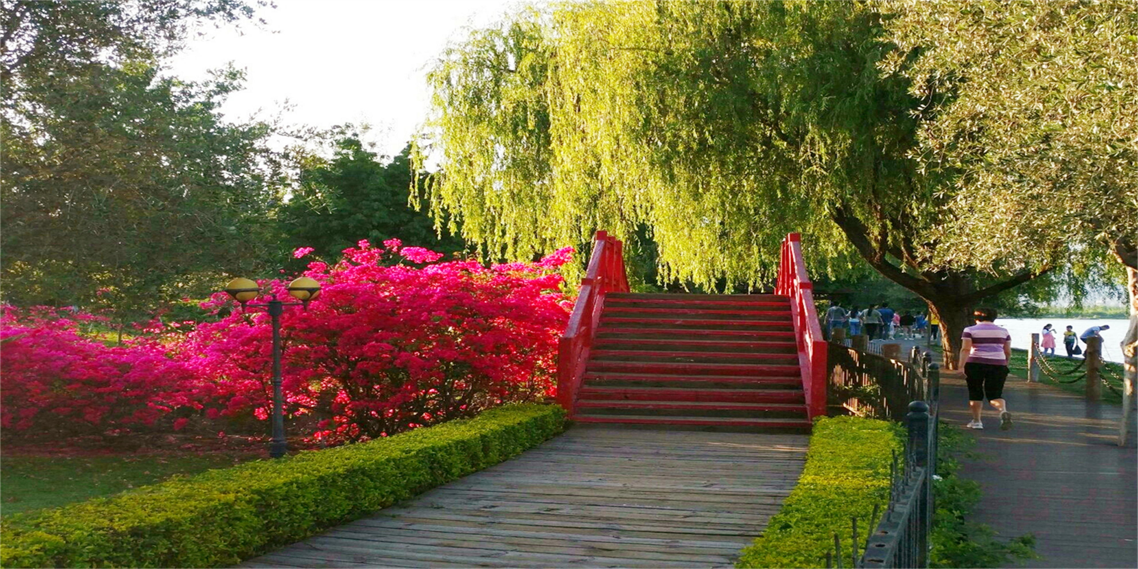 王仕彬,王仕彬百科