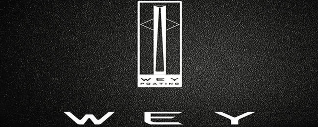 一张图看懂汽车品牌从属关系,一文看懂汽车品牌