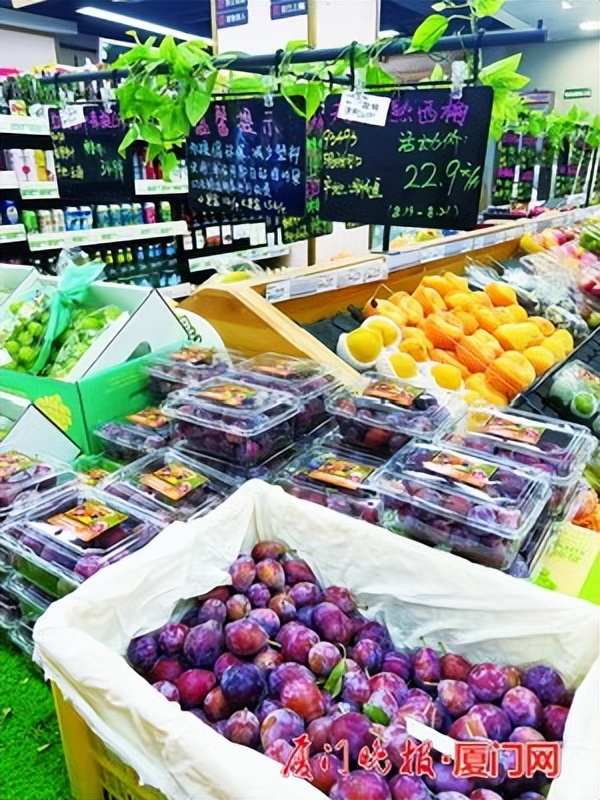 口感软糯的西梅什么时候引入中国,新品尝鲜无核西梅