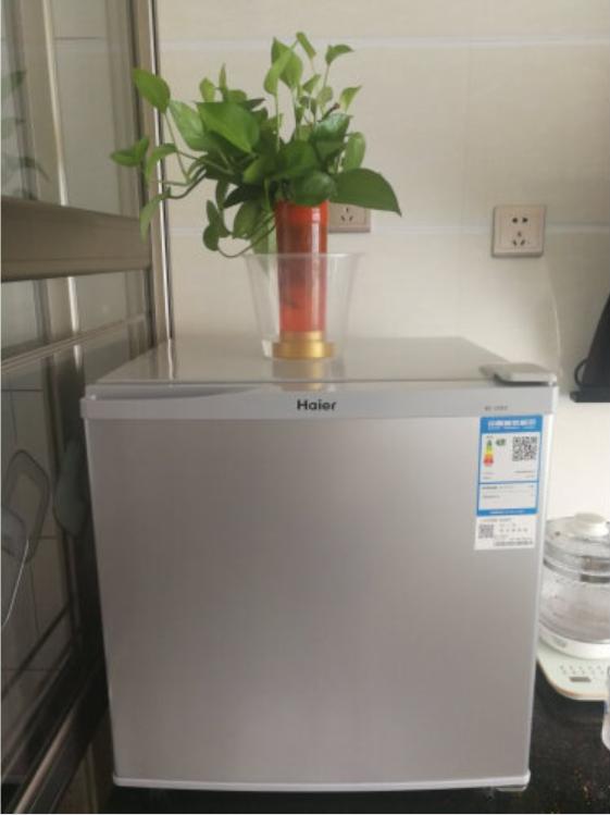小冰箱出租房推荐,出租房冰箱推荐性价比高品牌