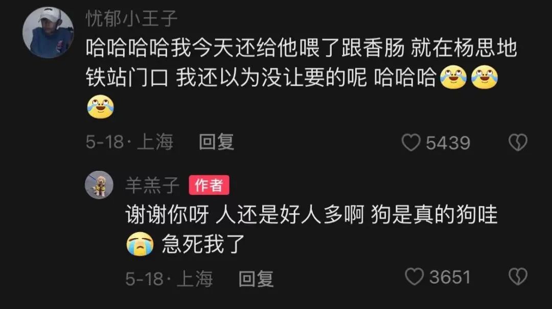 裸体金毛误闯地铁站被揪住耳朵：大哥！头发扎得有点紧了！