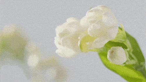 lv历年限定系列,lv这个衣服怎么样