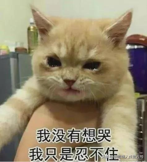 为什么有人“啪啪啪”之后会痛哭？