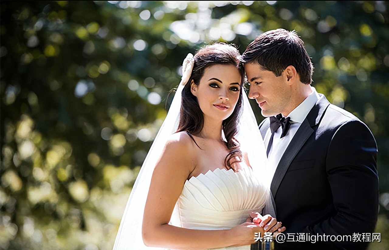 尼康镜头100-400f4镜头最新报价,最实用的尼康镜头是哪款的