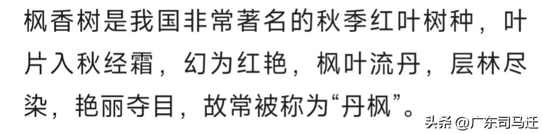 好玩的中山公园,中山公园这儿真美