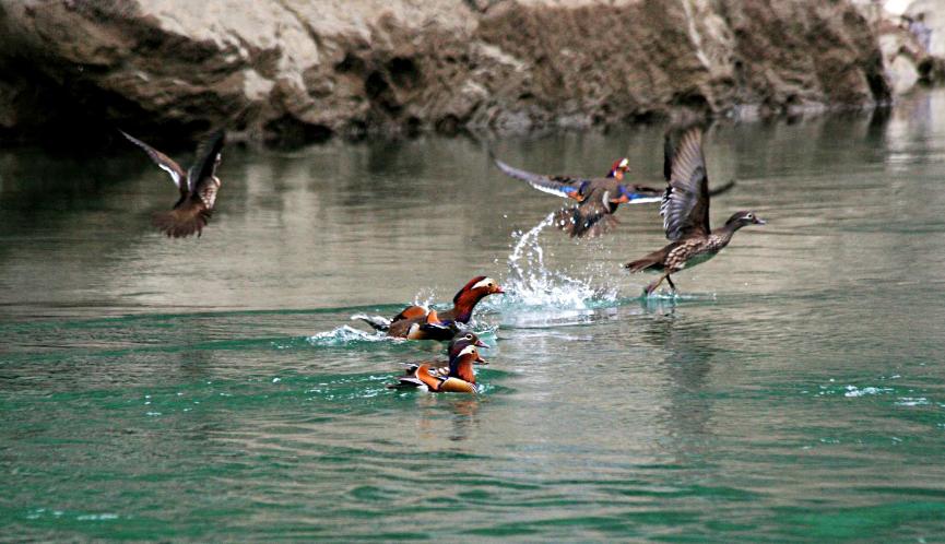 走进城市的天然氧吧北湖生态公园,湿地公园和城市湿地公园