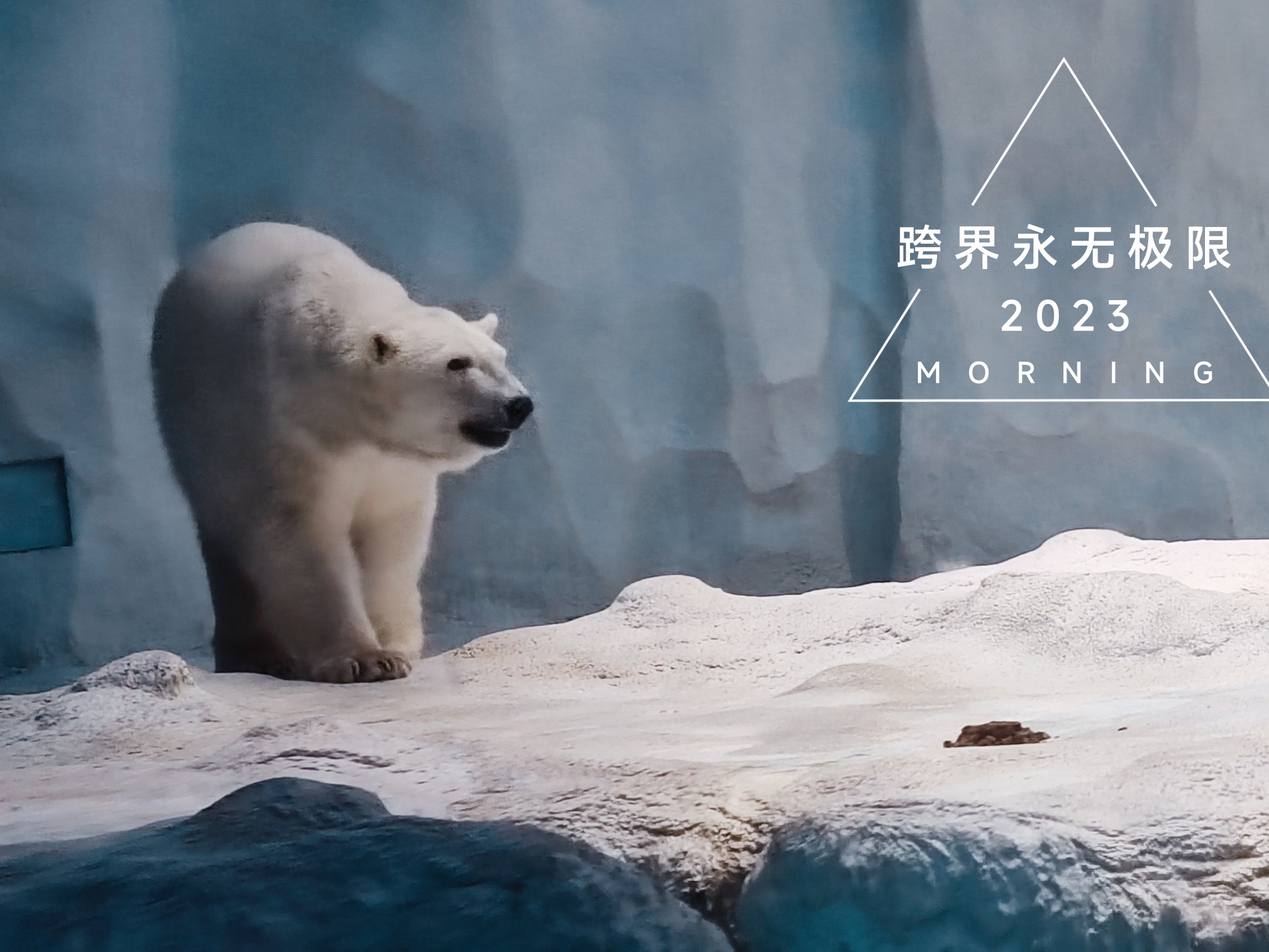 珠海长隆海洋王国鲸鱼,珠海长隆海洋王国门票