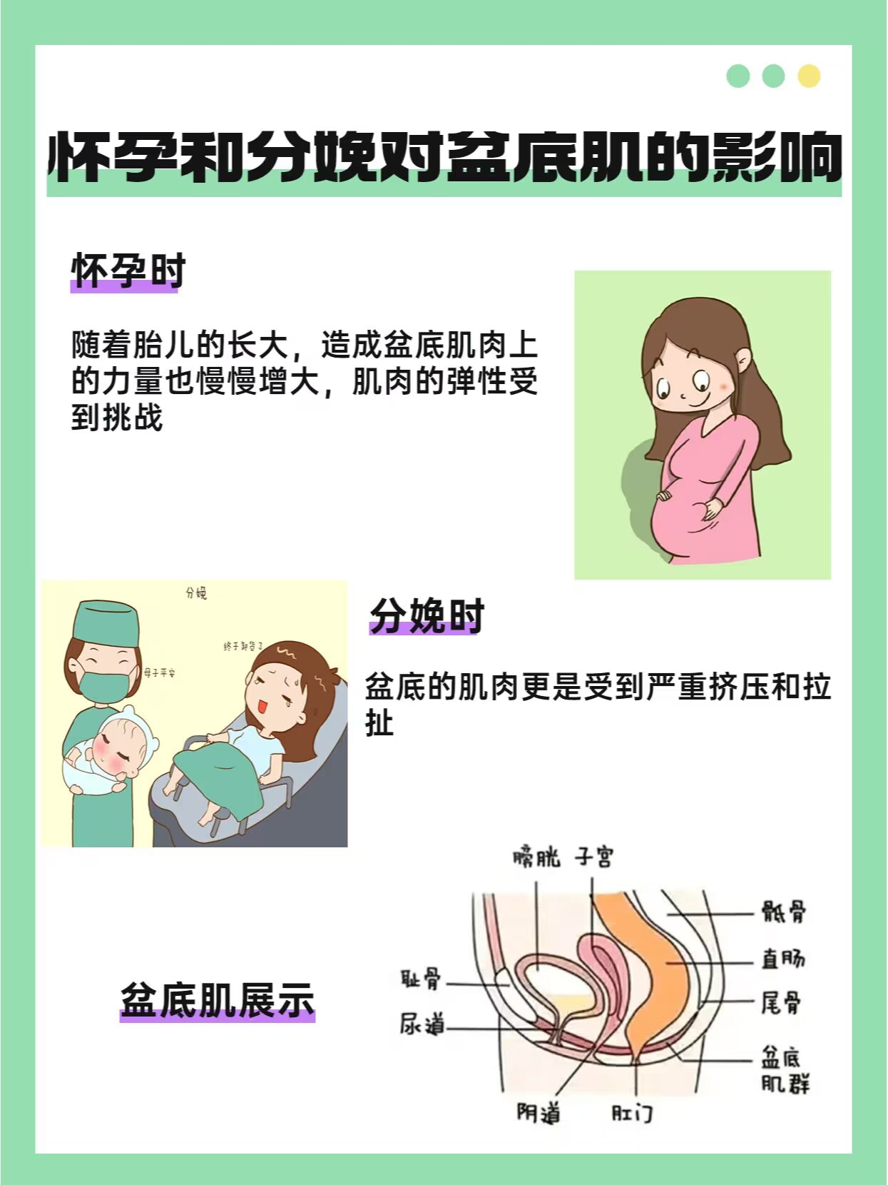 宝妈都应该知道的盆底肌修复,产后盆底肌要几个月才能恢复好