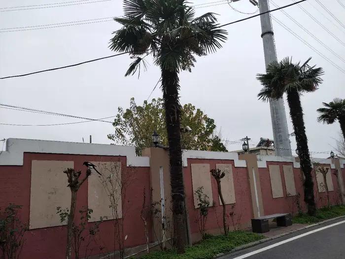 画与景,幼儿长卷画景