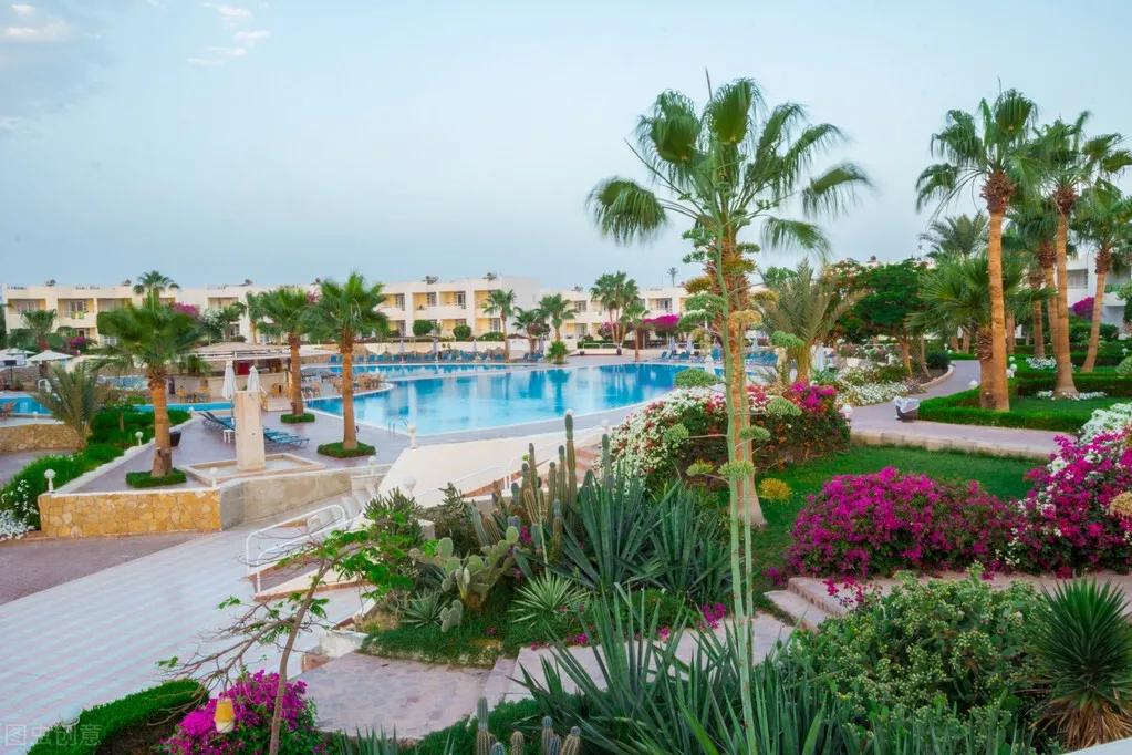 玫瑰花是爱情的象征还是祝福,玫瑰花表达爱情的最佳象征