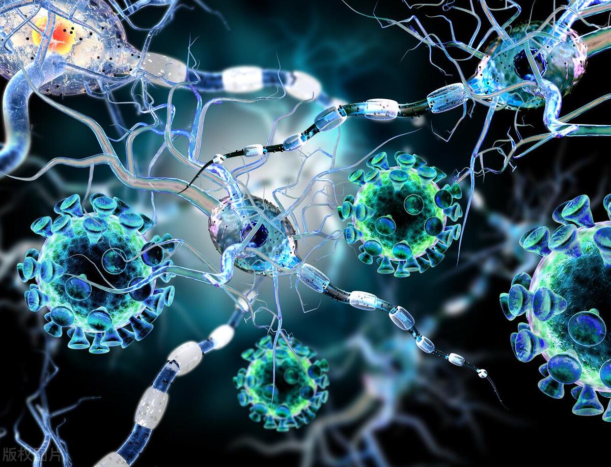 HPV如何感染的？如何确定是不是感染呢？这3个常识，或使你获益