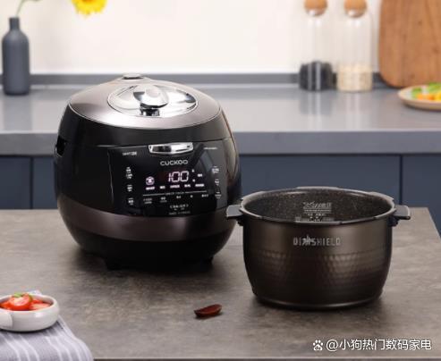 电压力锅十大品牌排名,十大品牌电压力锅质量排名图片