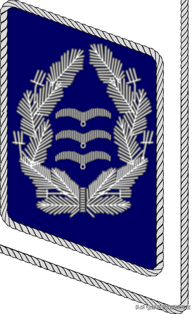 二战德国国防军医疗兵军衔标志