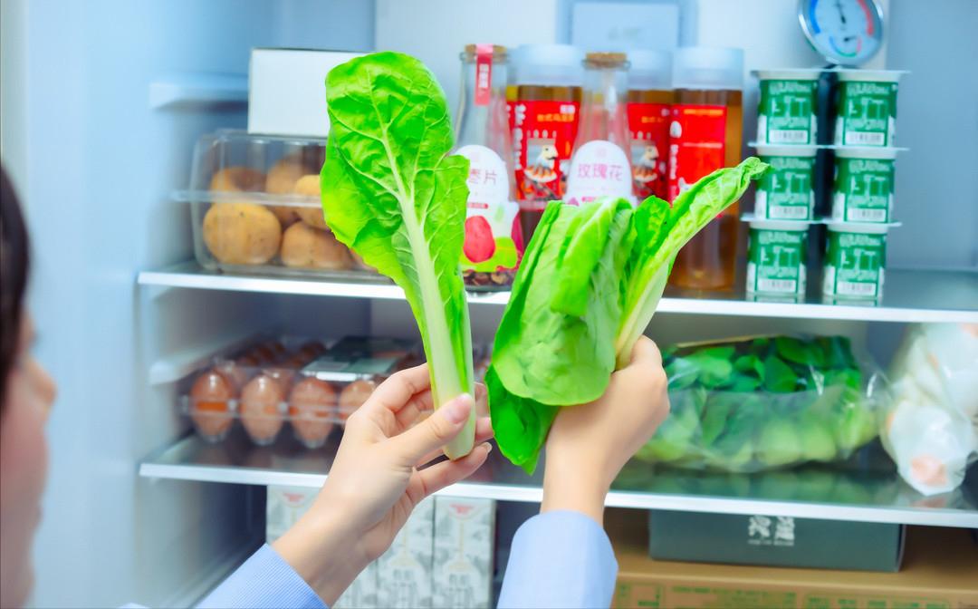 强烈推荐20款国内家电好看又省钱,这一年值得买的家电清单