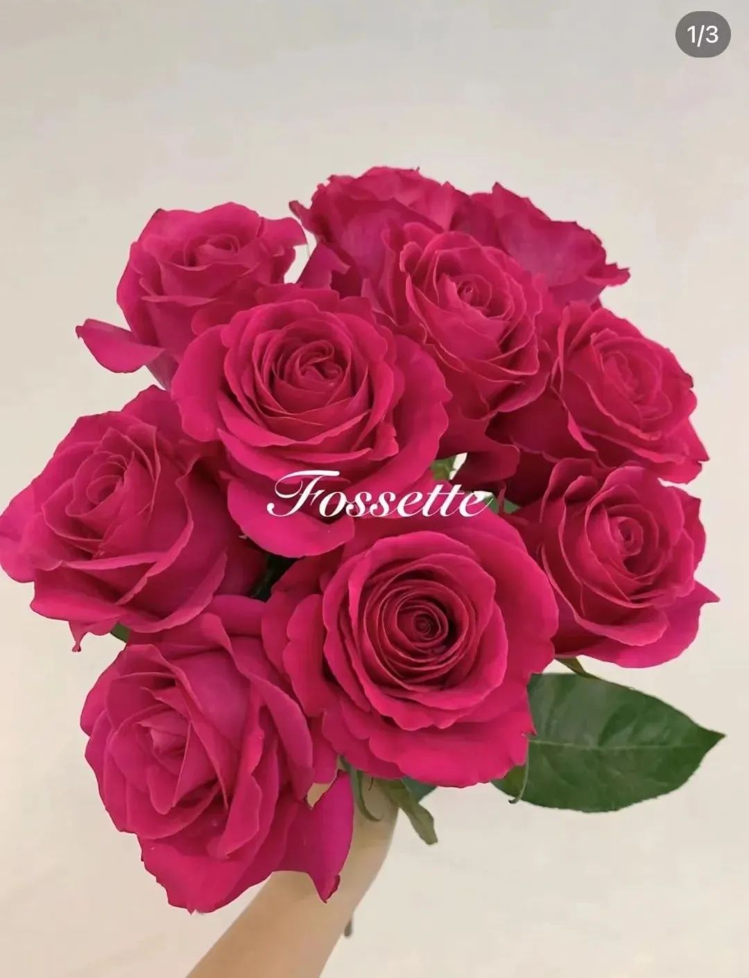 郁金香是不是智商税,郁金香是毒花吗