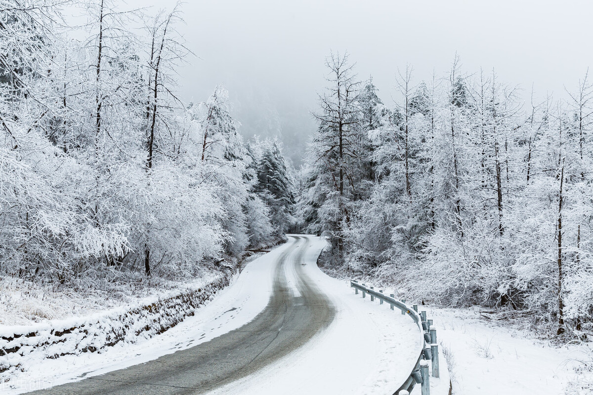 全国各地干玉米价格新行情,今日我国各地玉米价格及行情走势