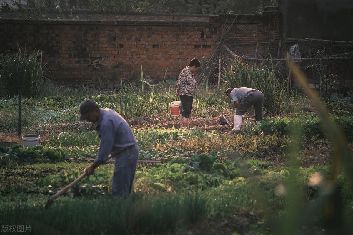 孙子看到奶奶就叫：臭奶奶！婆婆愤怒：孩子你们不管我来替你们管