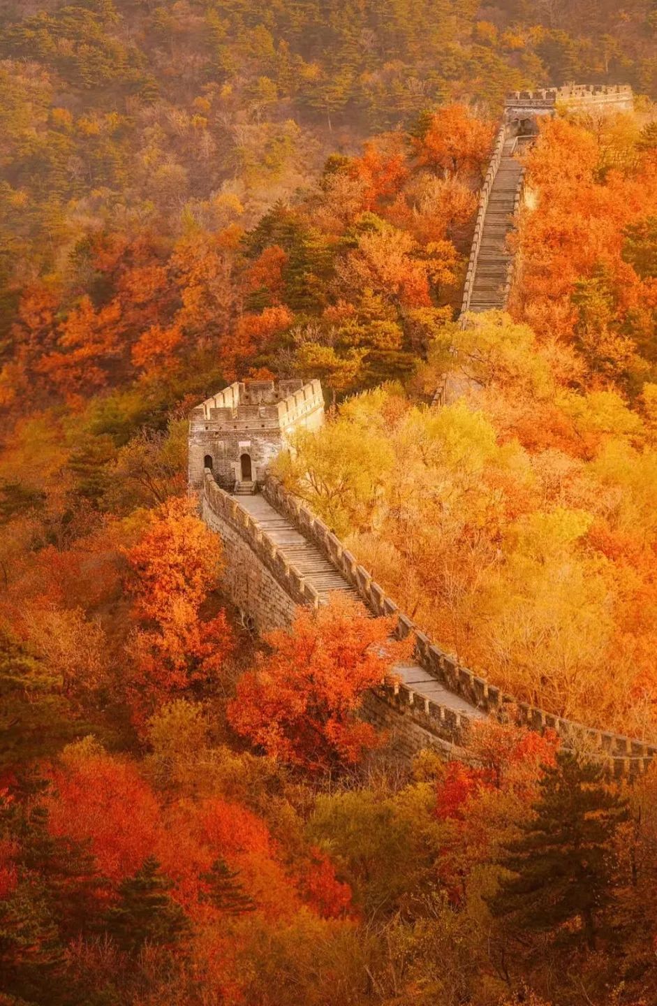 一入秋北京就变成了北平原文,一入秋北京就成了北平是谁说的