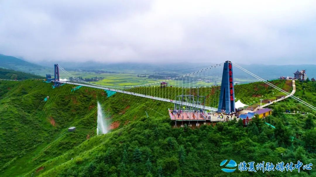 2024骞村宸磋兒閰嶈壊,缁胯壊鐨勫宸磋兒閰嶈壊