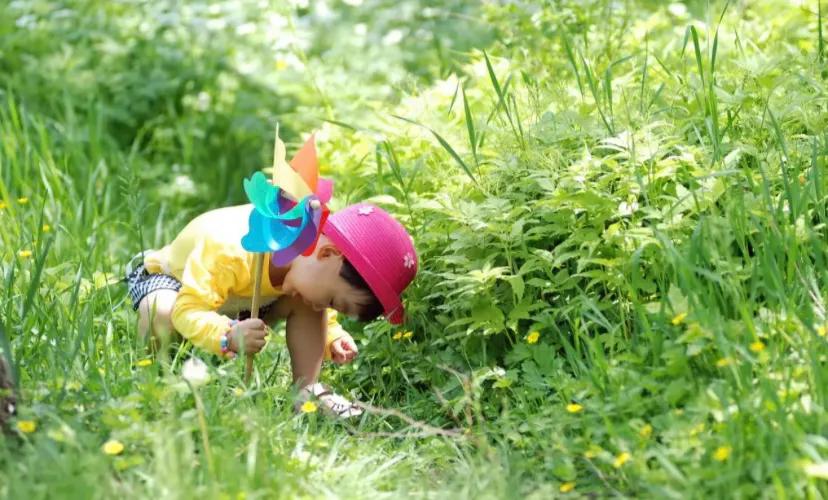 胎儿健康发育的基本知识,十秒钟带你了解胎儿发育