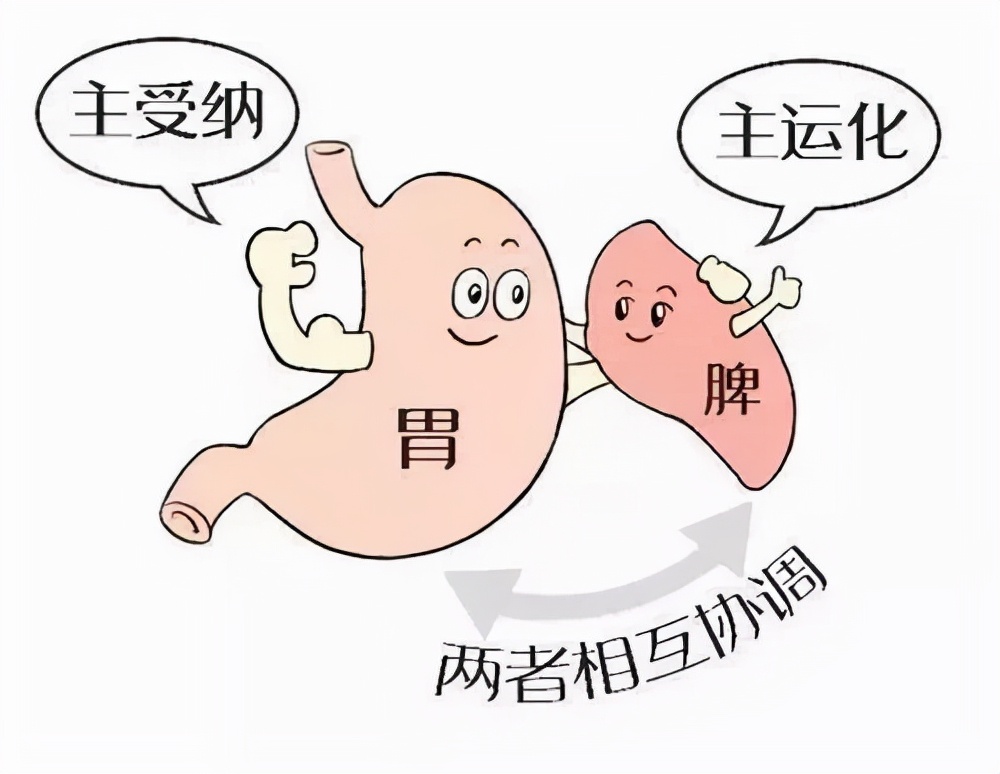 肝气郁结痰湿甲状腺结节怎么治疗,爱长结节的体质喝中药可以调理吗