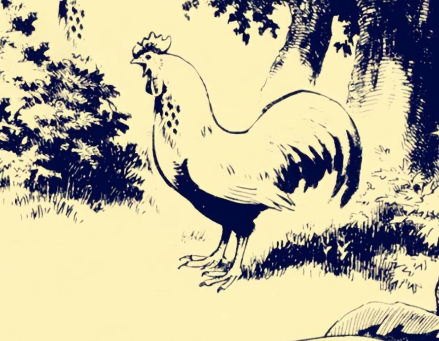 民间故事：岳母醉酒误入洞房，洞床下公鸡斗蜈蚣，和尚说她在救你