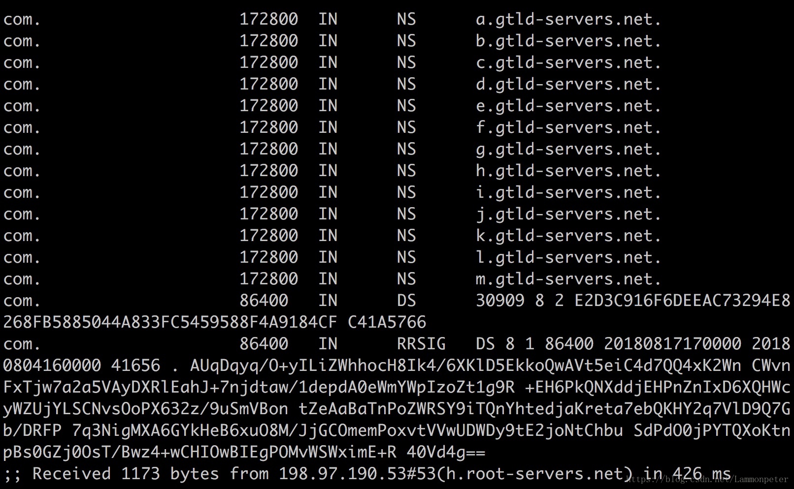 看懂dns解析,dns记录详解
