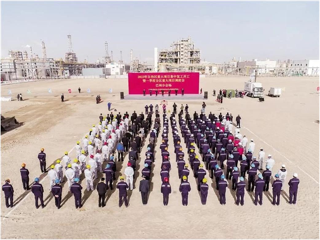 美克拟建项目,新疆美克化工新项目